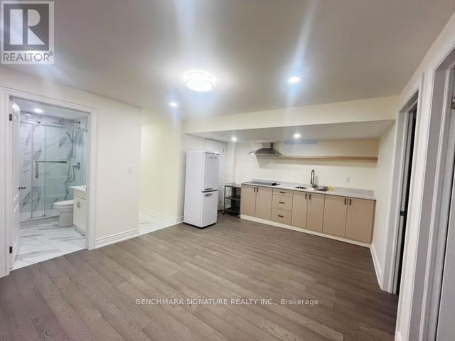 1300 Blencowe Cres (Bsmt) Crescent, Newmarket, Ontario  L3X 0C4 - Photo 7 - N12637372