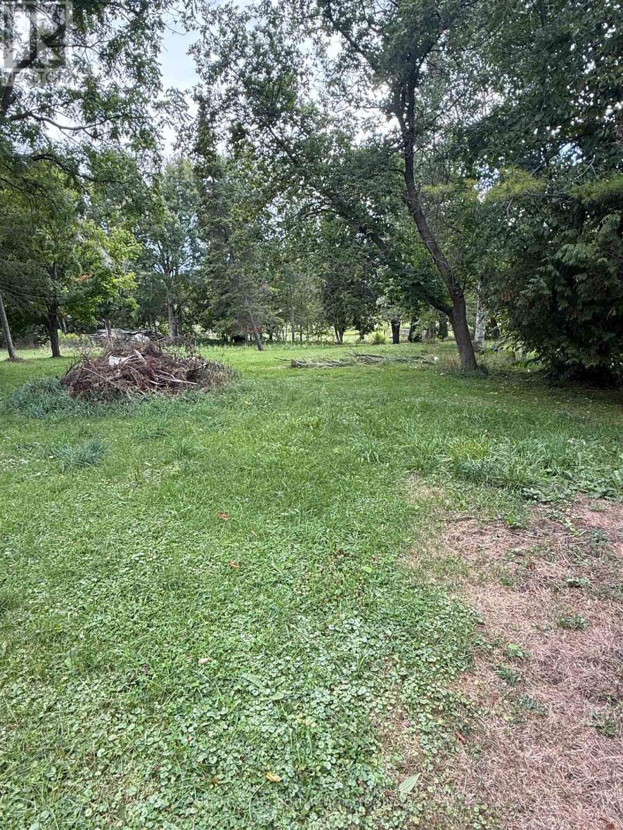 46 King Street N, Innisfil (Cookstown), Ontario L0L 1L0 - Photo 24 - N12637396