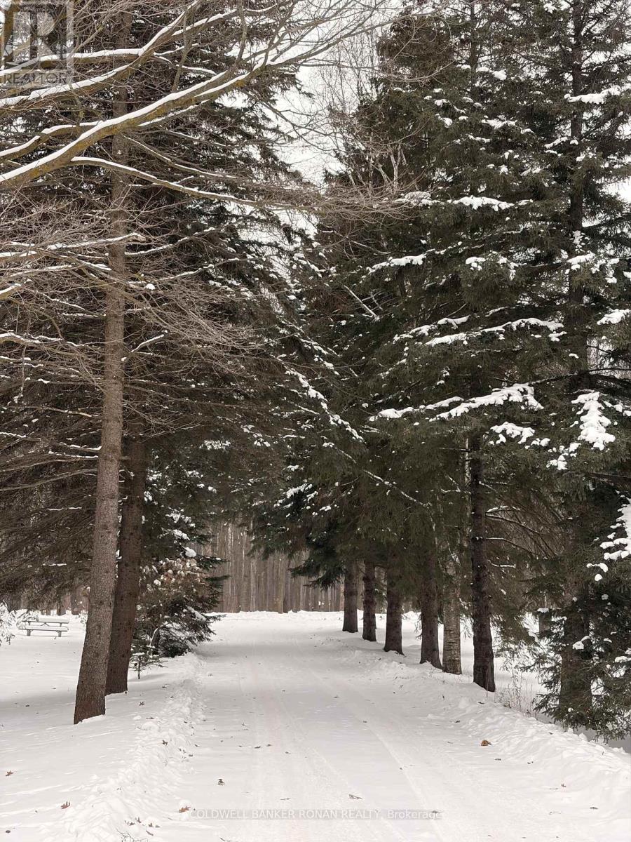 953026 7th Line, Mono, Ontario  L9W 6E6 - Photo 3 - X12637390