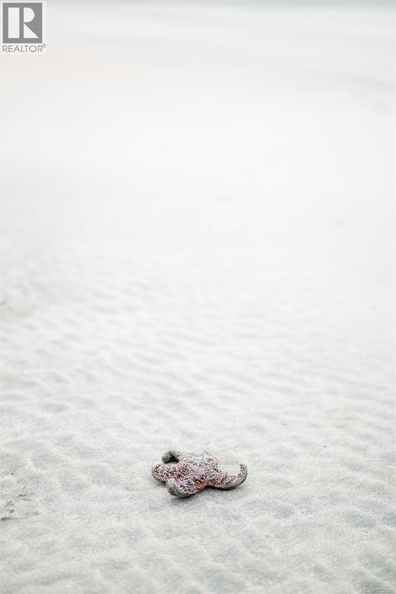 230 Clutus Rd, Bamfield, British Columbia  V0R 1B0 - Photo 54 - 1022006