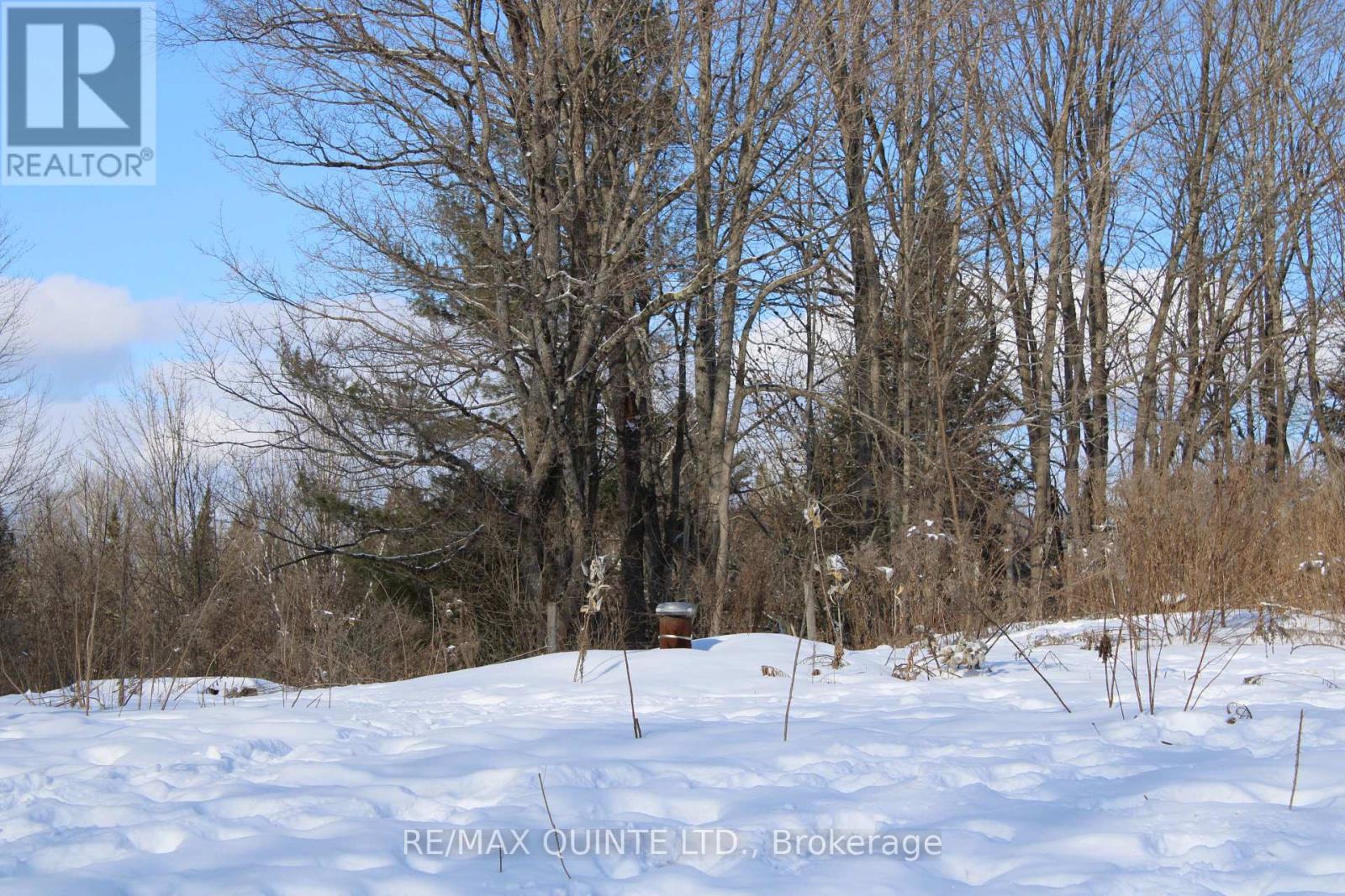 494 Twin Sister Lakes Road, Marmora And Lake, Ontario  K0K 2M0 - Photo 10 - X12637524