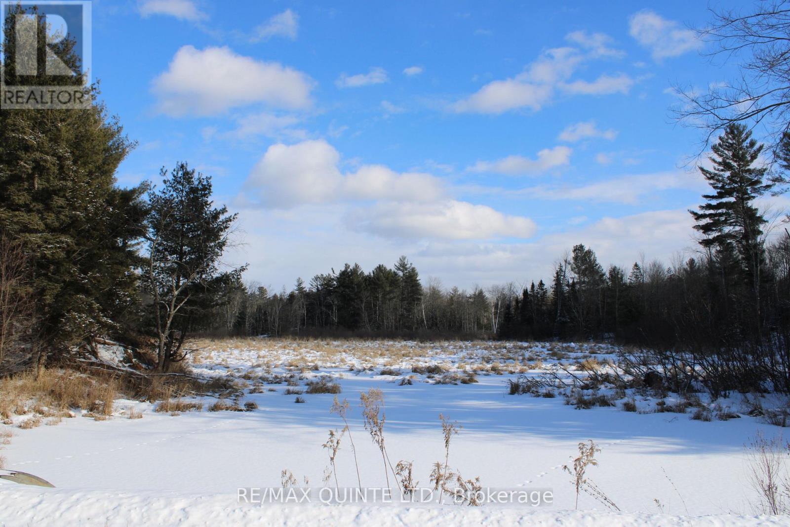 494 Twin Sister Lakes Road, Marmora And Lake, Ontario  K0K 2M0 - Photo 13 - X12637524