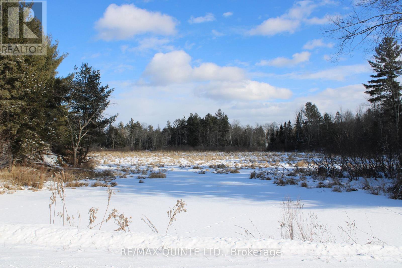 494 Twin Sister Lakes Road, Marmora And Lake, Ontario  K0K 2M0 - Photo 14 - X12637524