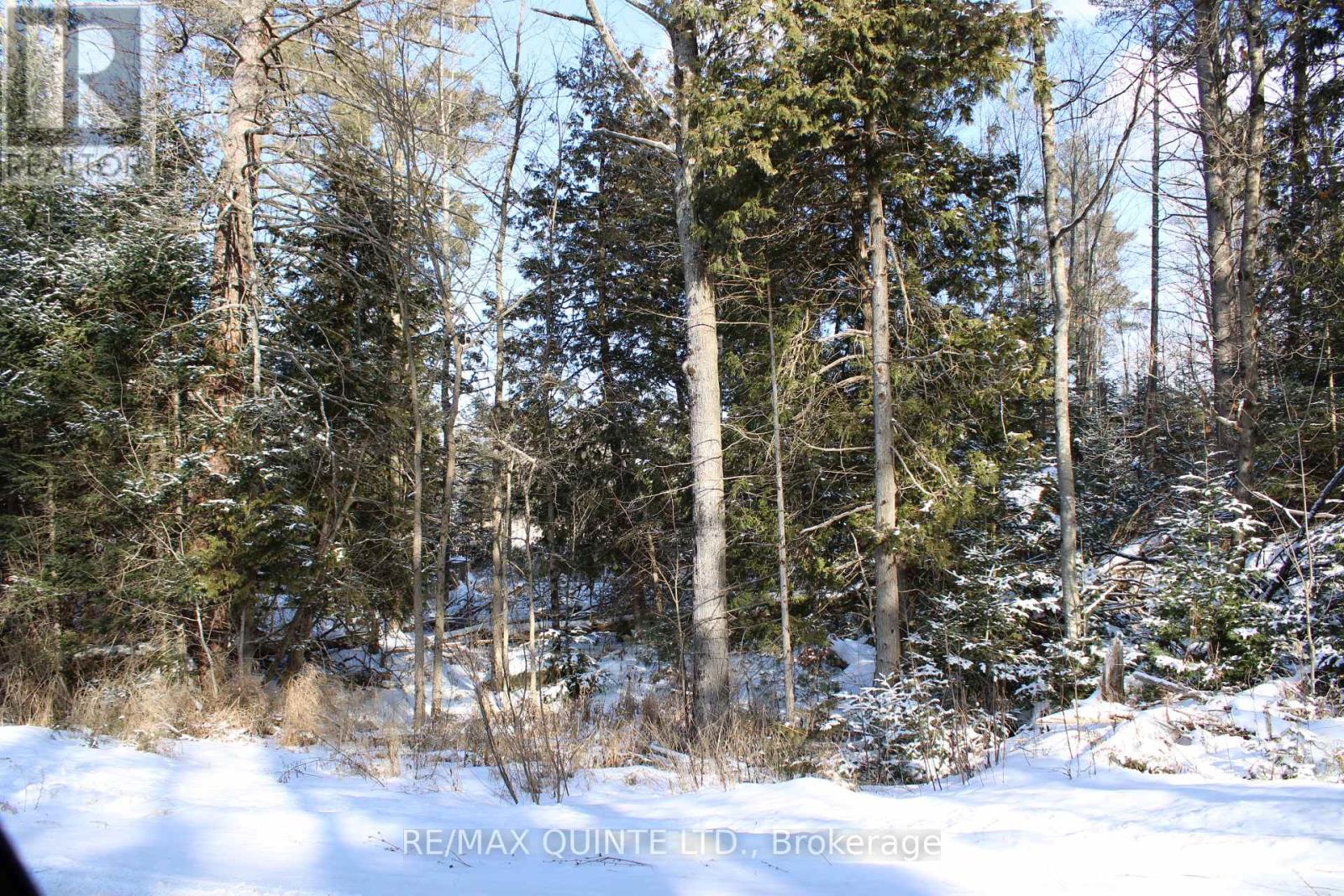 494 Twin Sister Lakes Road, Marmora And Lake, Ontario  K0K 2M0 - Photo 15 - X12637524