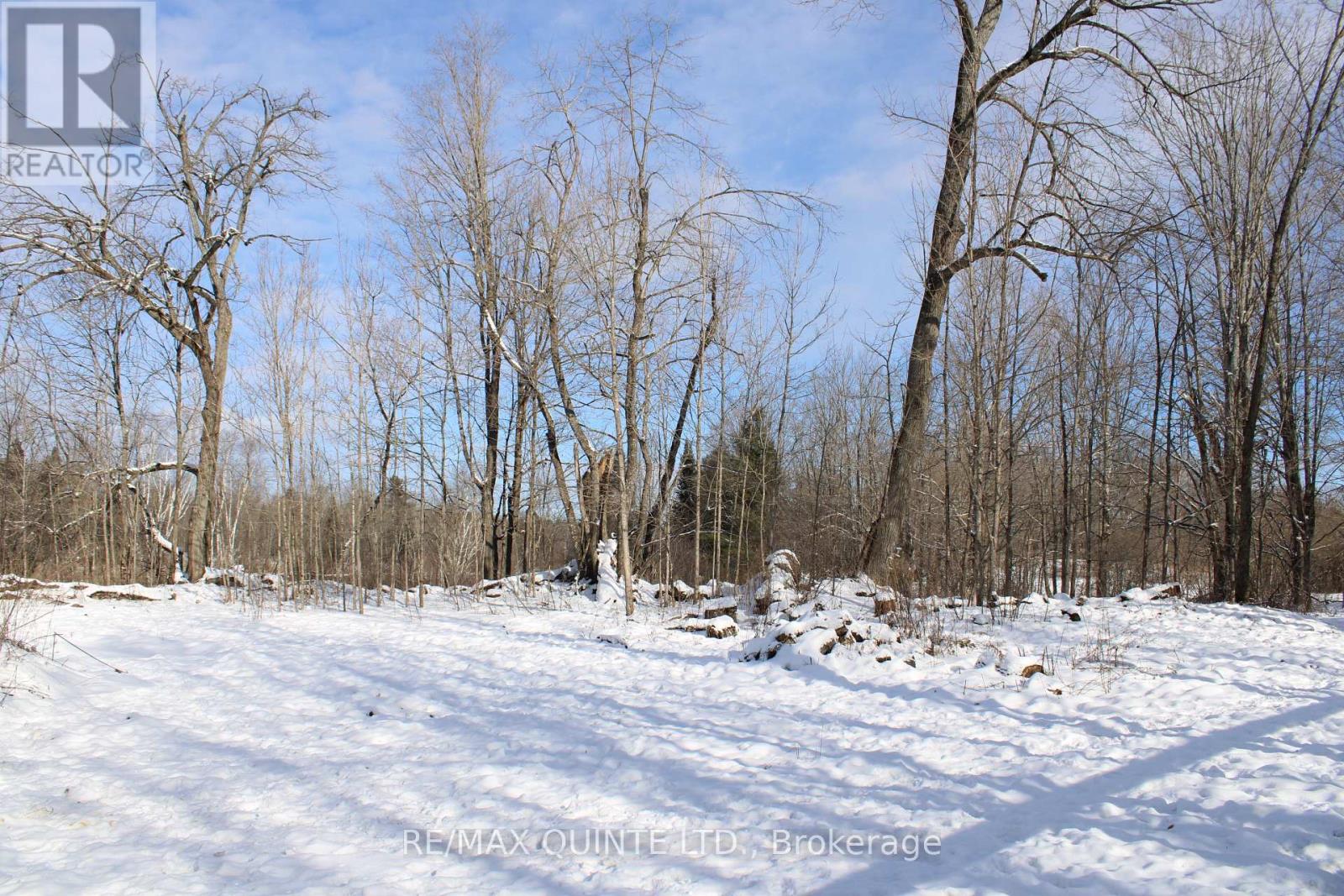 494 Twin Sister Lakes Road, Marmora And Lake, Ontario  K0K 2M0 - Photo 2 - X12637524