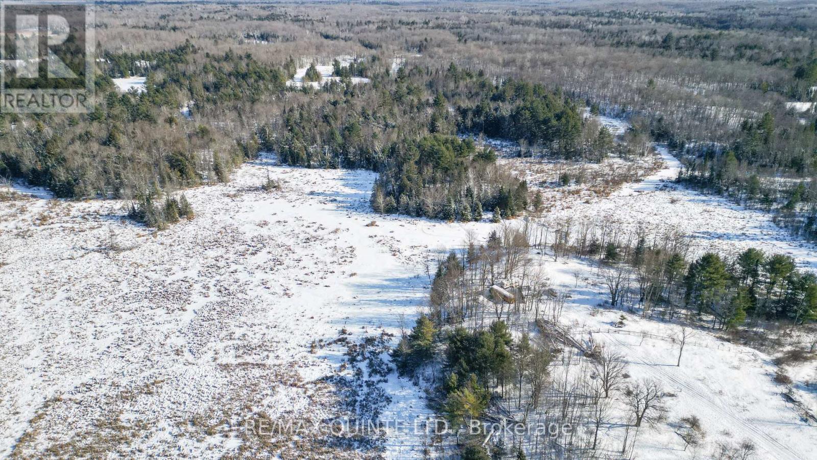 494 Twin Sister Lakes Road, Marmora And Lake, Ontario  K0K 2M0 - Photo 24 - X12637524