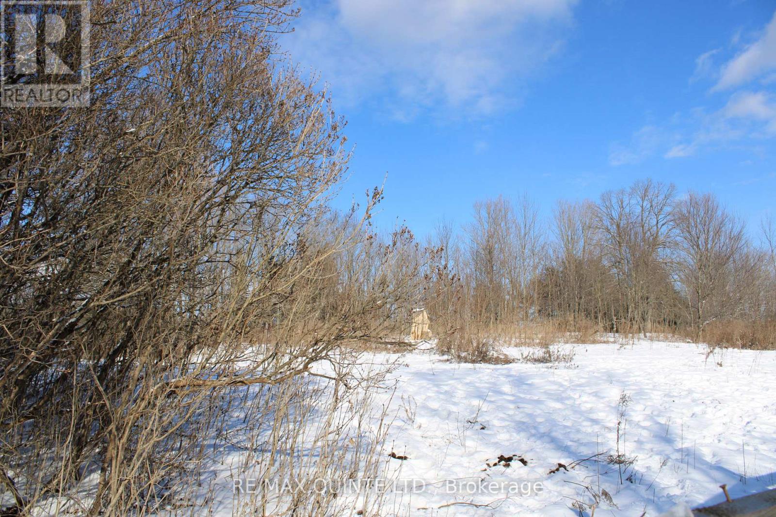 494 Twin Sister Lakes Road, Marmora And Lake, Ontario  K0K 2M0 - Photo 3 - X12637524