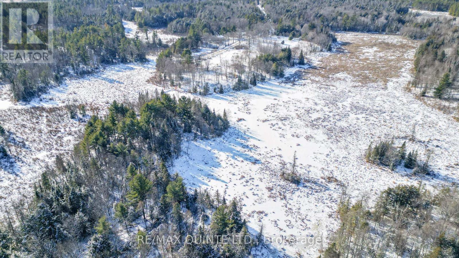 494 Twin Sister Lakes Road, Marmora And Lake, Ontario  K0K 2M0 - Photo 30 - X12637524