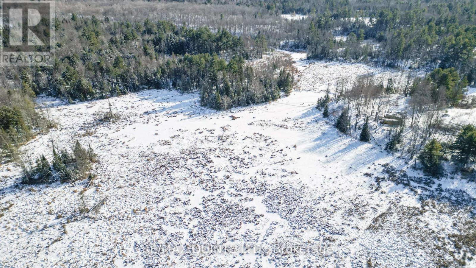 494 Twin Sister Lakes Road, Marmora And Lake, Ontario  K0K 2M0 - Photo 37 - X12637524