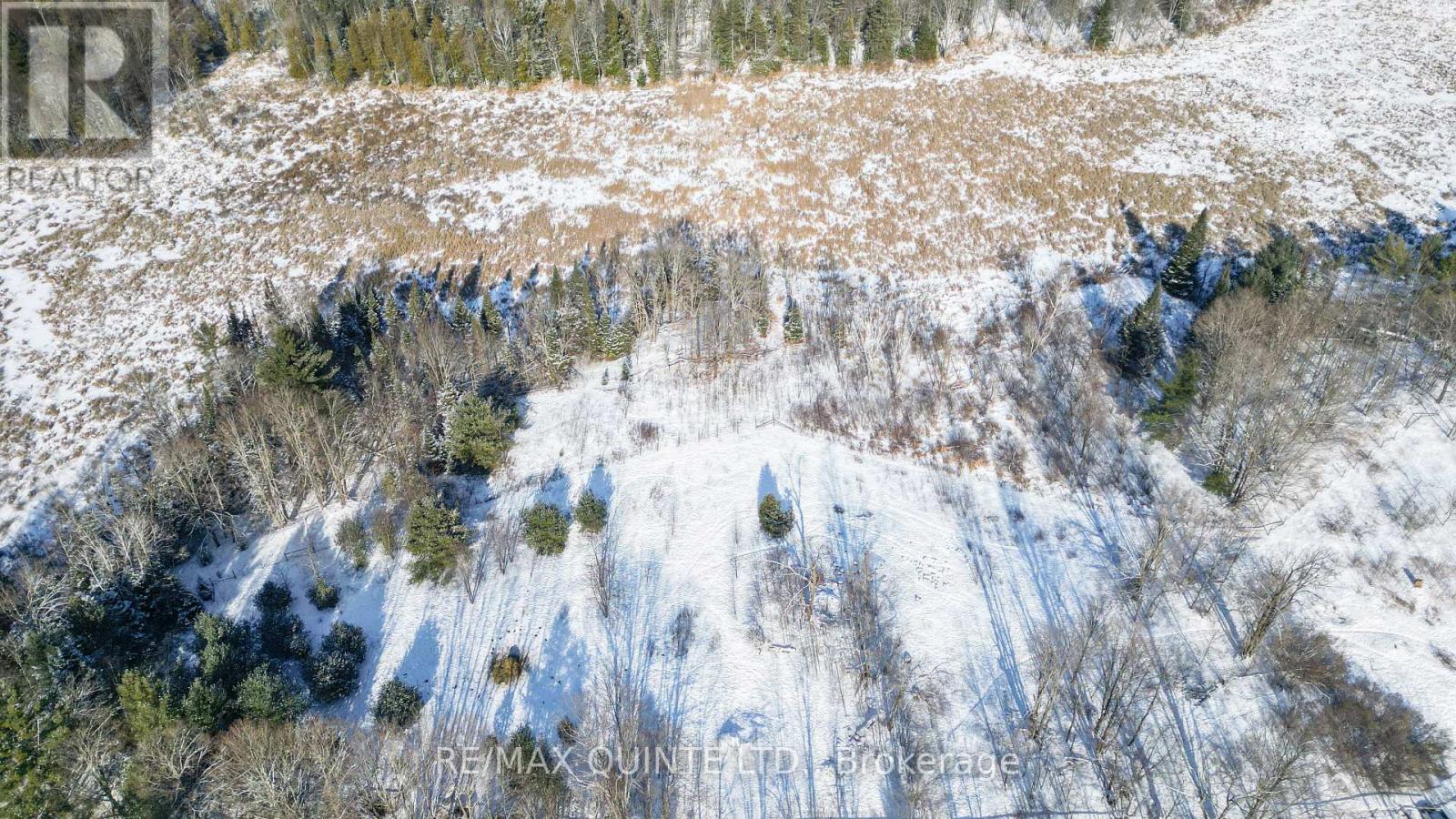 494 Twin Sister Lakes Road, Marmora And Lake, Ontario  K0K 2M0 - Photo 38 - X12637524