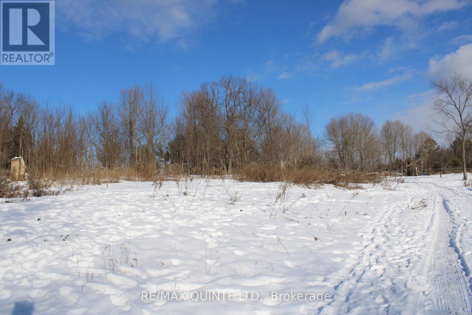 494 Twin Sister Lakes Road, Marmora And Lake, Ontario  K0K 2M0 - Photo 7 - X12637524