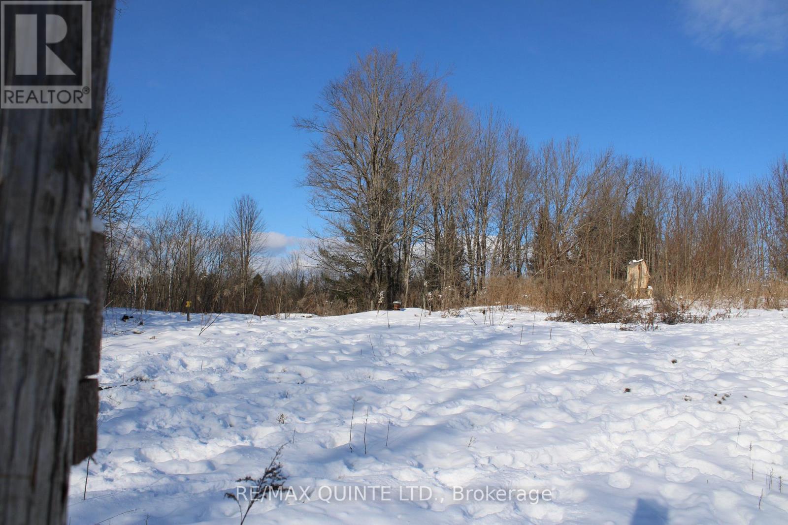 494 Twin Sister Lakes Road, Marmora And Lake, Ontario  K0K 2M0 - Photo 8 - X12637524