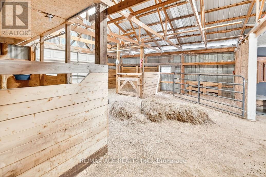 2425 North School Road, Havelock-Belmont-Methuen (Havelock), Ontario  K0L 1Z0 - Photo 24 - X12637564