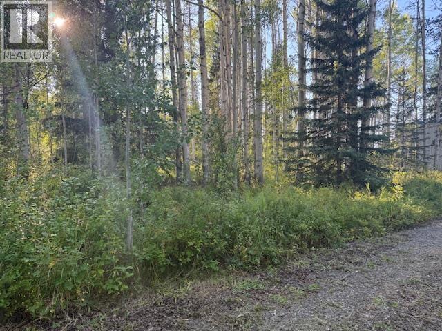 23803 Walcott Road, Telkwa, British Columbia  V0J 2X2 - Photo 5 - R3043317