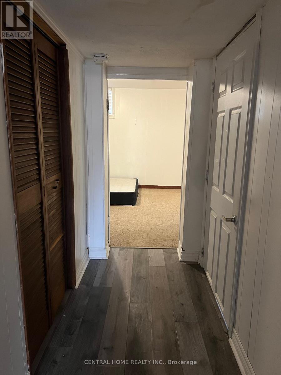 Basement - 192 Silverbirch Drive E, Newmarket (Bristol-London), Ontario  L3Y 2Z5 - Photo 5 - N12637590