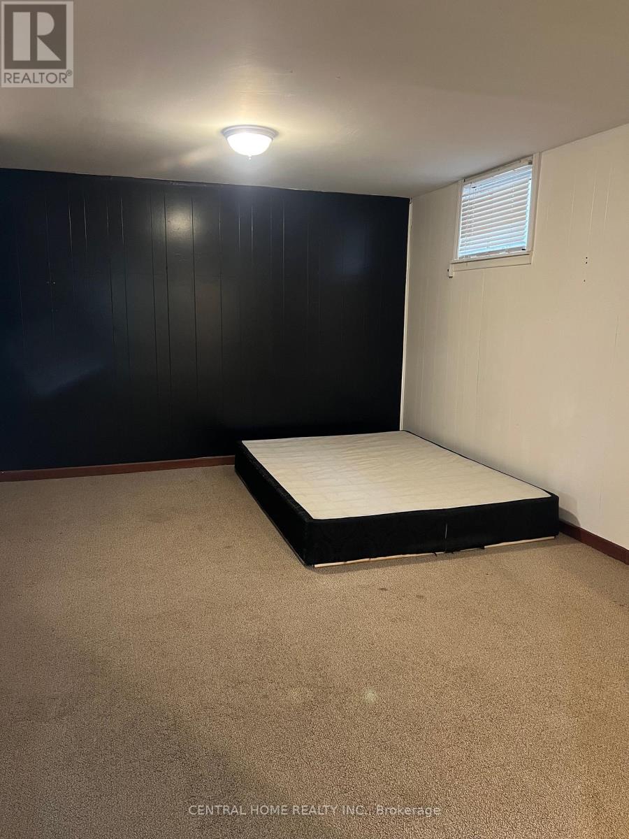 Basement - 192 Silverbirch Drive E, Newmarket (Bristol-London), Ontario  L3Y 2Z5 - Photo 6 - N12637590