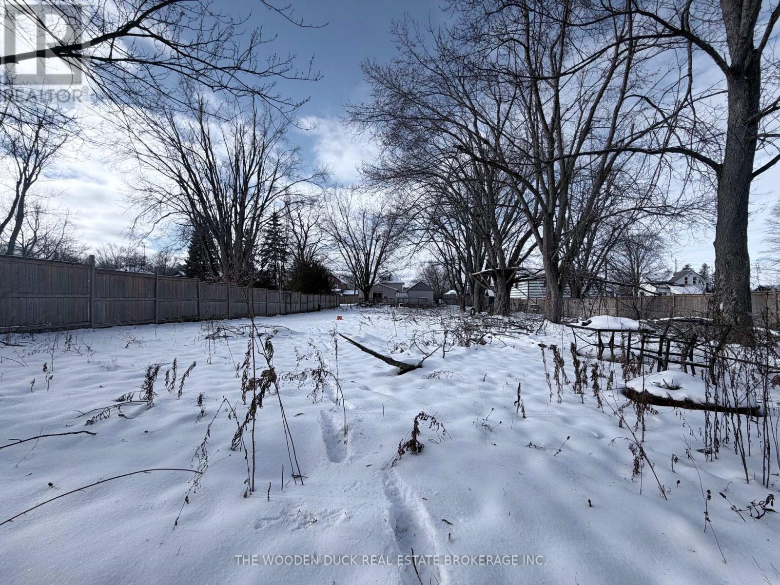 231 County Rd 28 Road, Otonabee-South Monaghan, Ontario L0A 1G0 - Photo 19 - X12637692