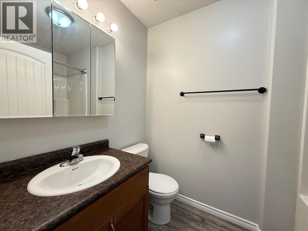 4822 50 Avenue, Vermilion, Alberta T9X 1T6 - Photo 10 - A2238515