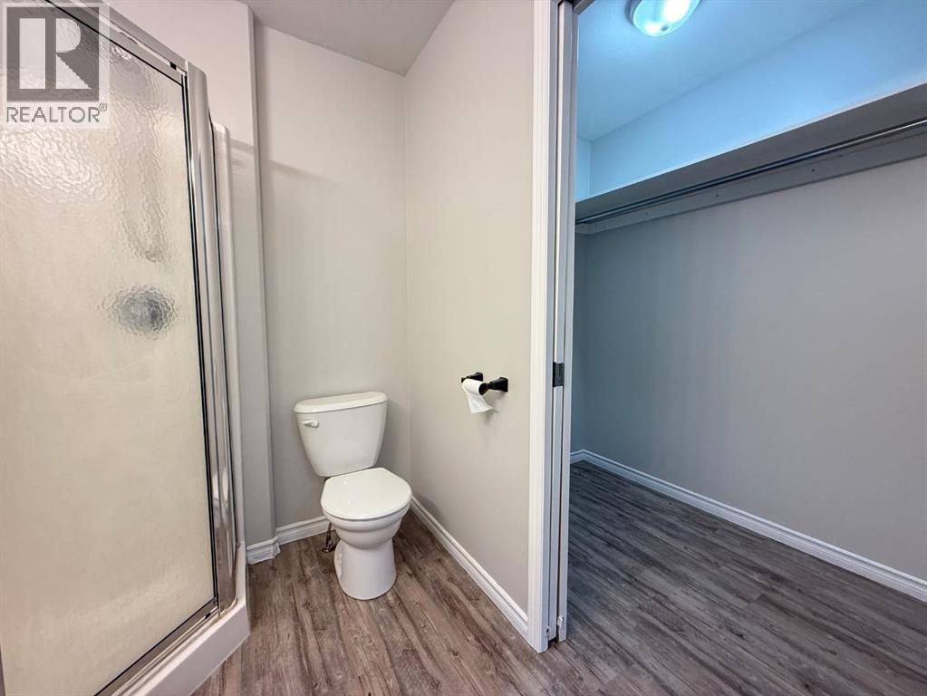 4822 50 Avenue, Vermilion, Alberta T9X 1T6 - Photo 16 - A2238515