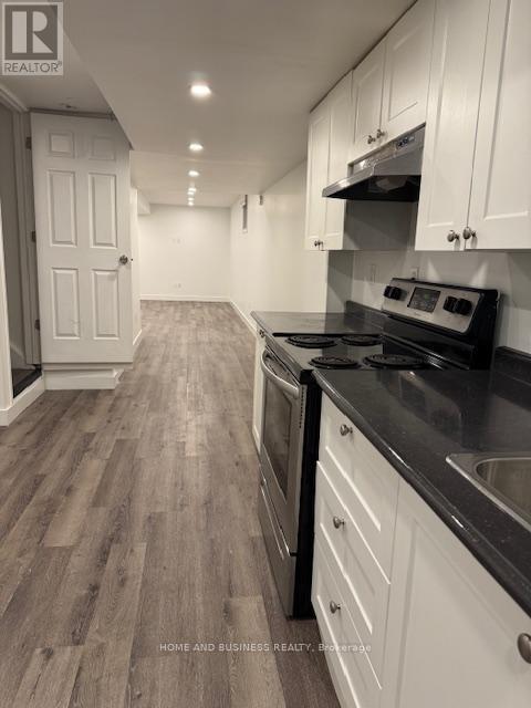 Basement - 339 Emmett Landing N, Milton, Ontario  L9E 0A6 - Photo 12 - W12637804