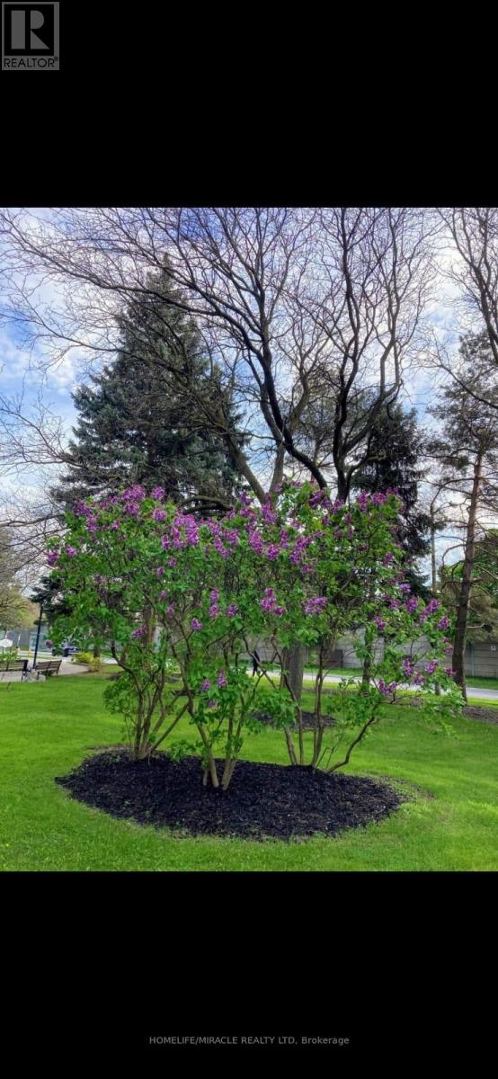 105 - 5 Shady Golfway, Toronto, Ontario  M3C 3A5 - Photo 42 - C12629384