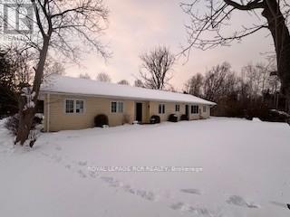 3 Starrview Crescent, Mono, Ontario  L9W 3A8 - Photo 2 - X12637972