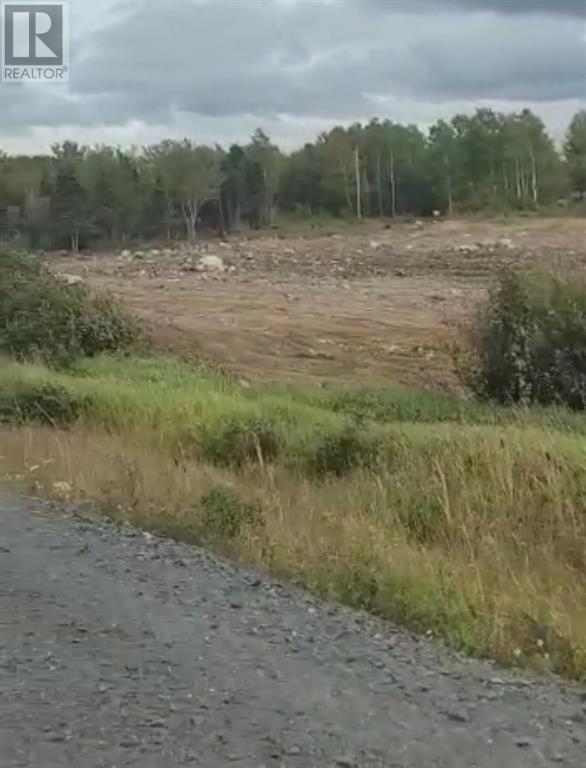 92-106 Trans-Canada Highway, Bishop's Falls, Newfoundland & Labrador  A0H 1C0 - Photo 3 - 1293328