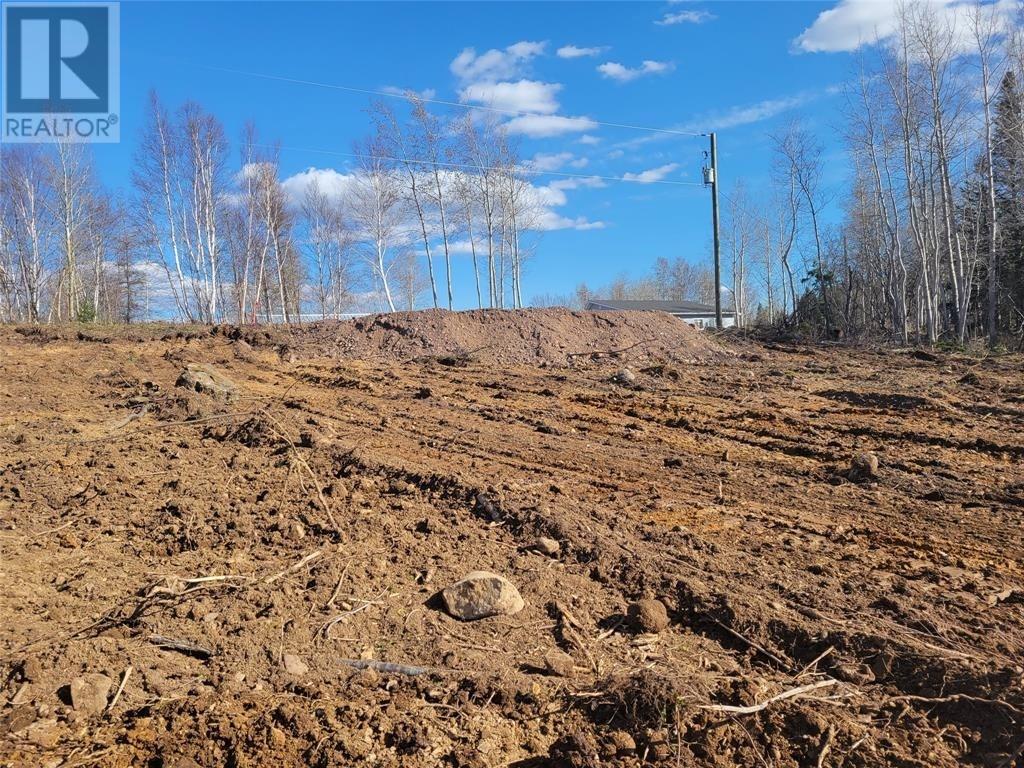 92-106 Trans-Canada Highway, Bishop's Falls, Newfoundland & Labrador  A0H 1C0 - Photo 4 - 1293328