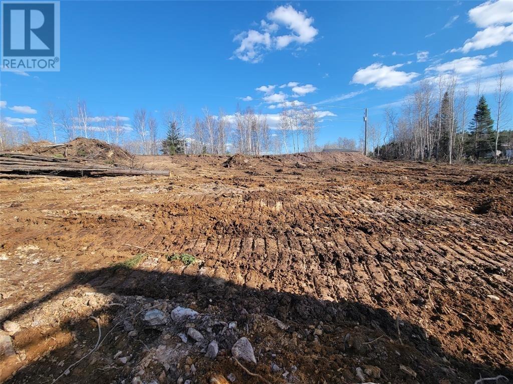 92-106 Trans-Canada Highway, Bishop's Falls, Newfoundland & Labrador  A0H 1C0 - Photo 5 - 1293328