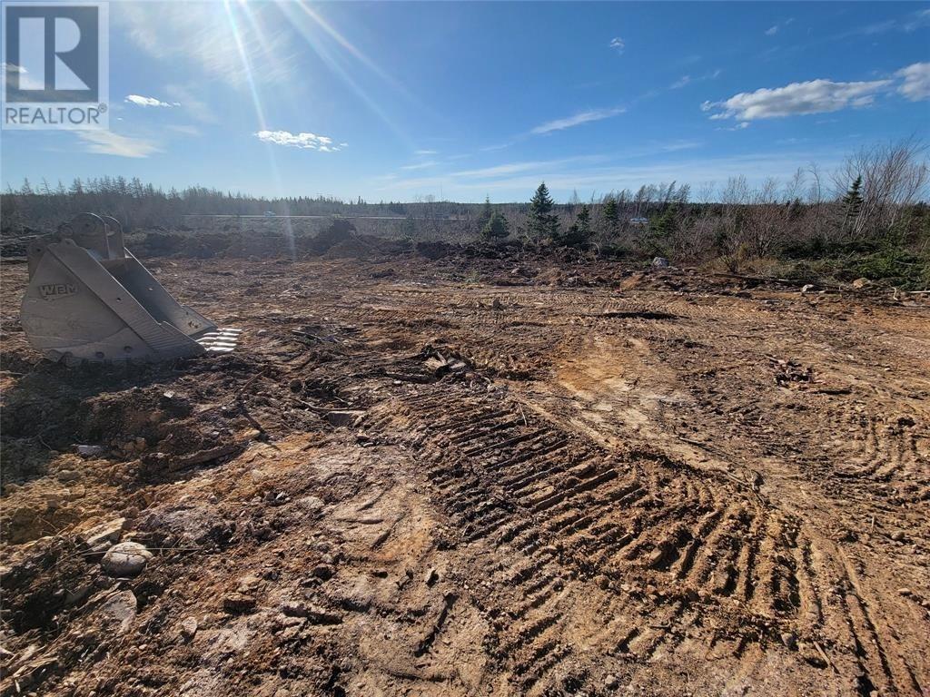 92-106 Trans-Canada Highway, Bishop's Falls, Newfoundland & Labrador  A0H 1C0 - Photo 6 - 1293328