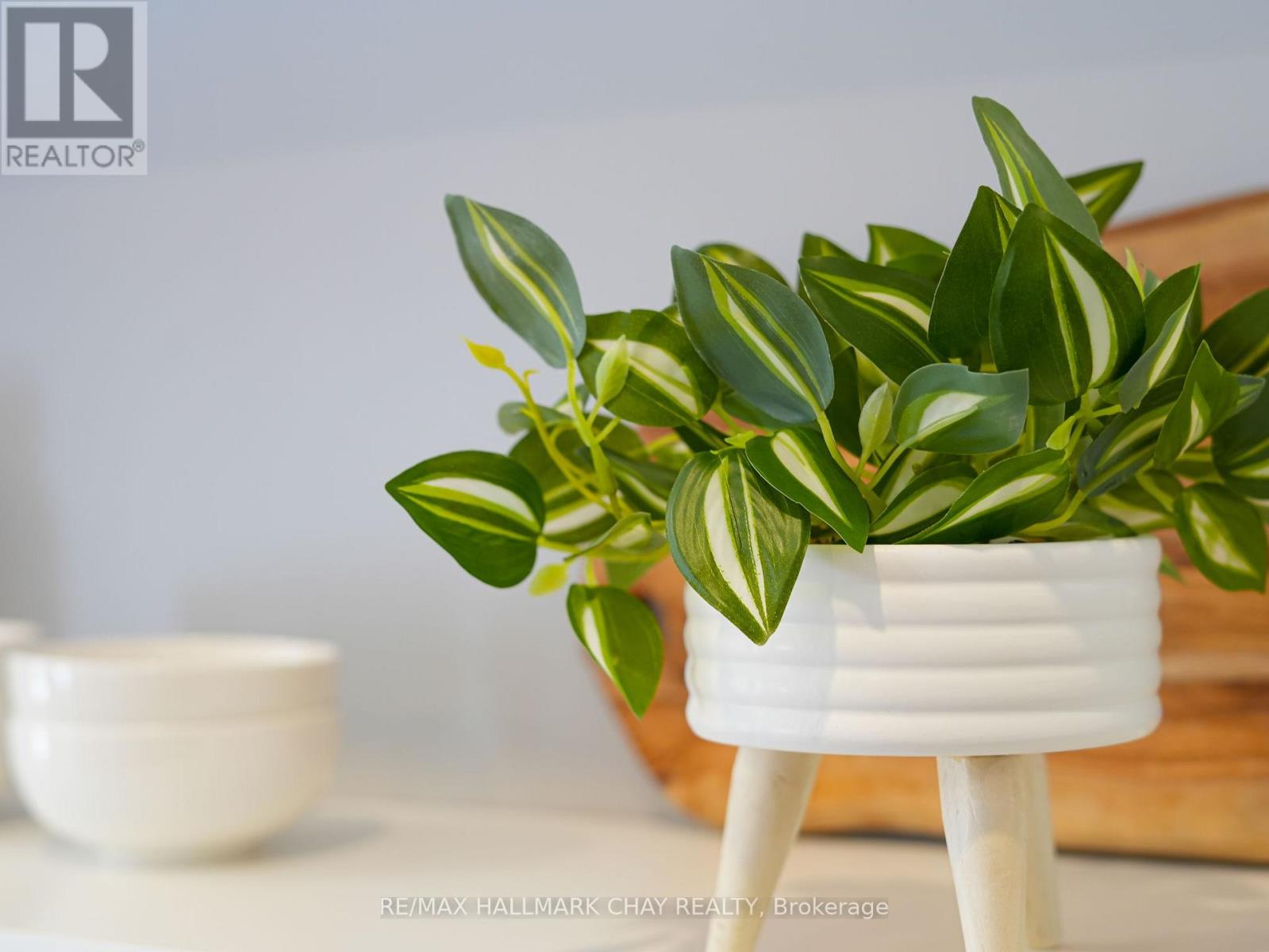 14 Wilson Street, New Tecumseth, Ontario  L0G 1W0 - Photo 16 - N12636832