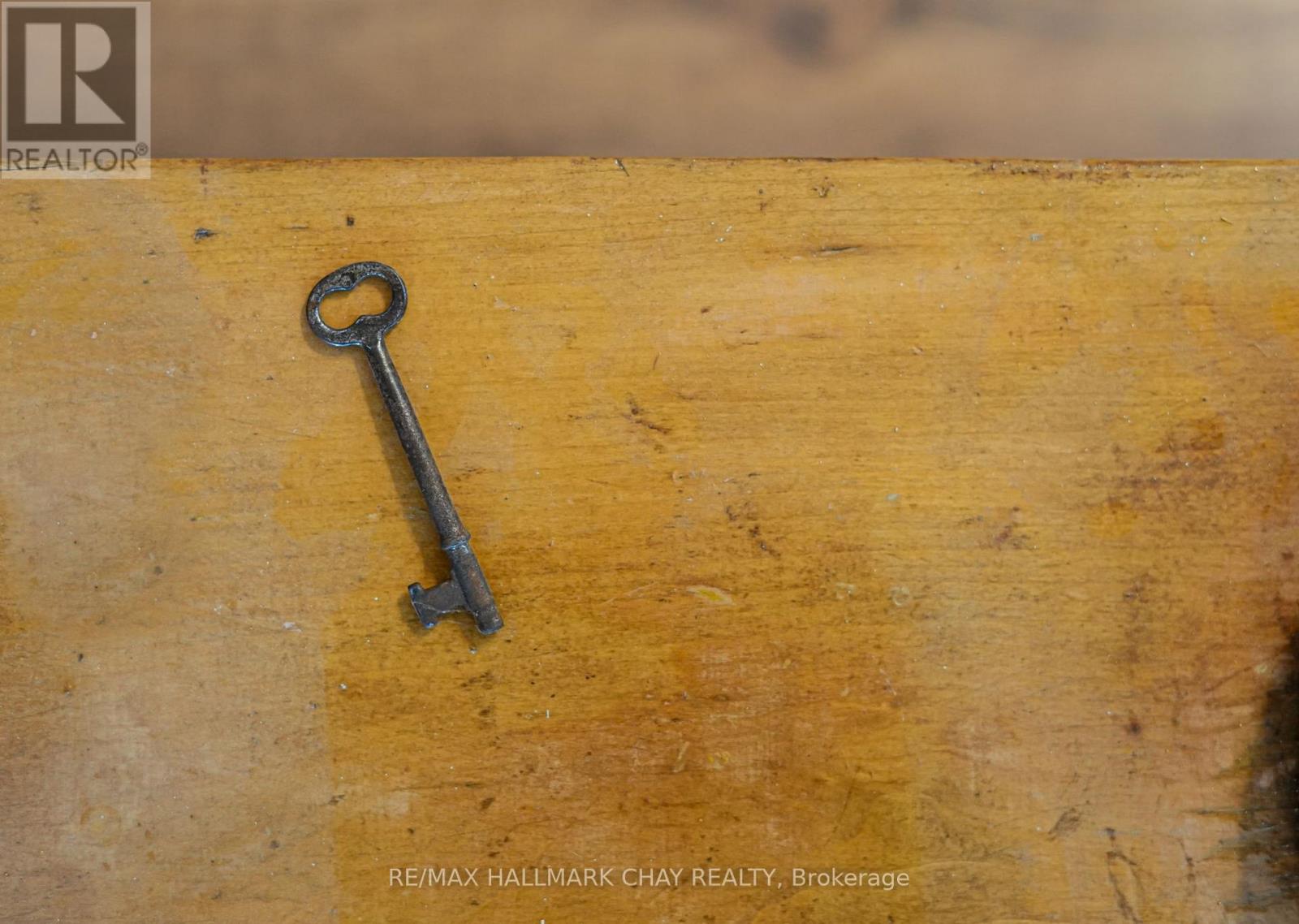 14 Wilson Street, New Tecumseth, Ontario  L0G 1W0 - Photo 28 - N12636832