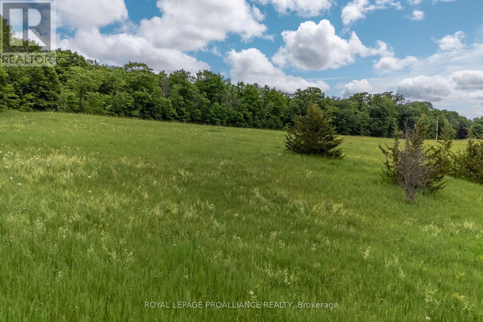 5035 Blessington Road, Tyendinaga, Ontario  K0K 2N0 - Photo 10 - X12509568