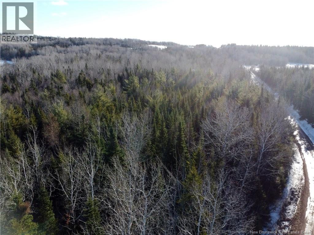 30 Steevescotes Road, Hillsborough, New Brunswick  E4H 0A1 - Photo 15 - NB131134