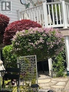 3652 Stephanie Court, Windsor, Ontario N8W 5G5 - Photo 40 - 25031759