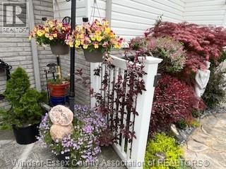 3652 Stephanie Court, Windsor, Ontario N8W 5G5 - Photo 46 - 25031759