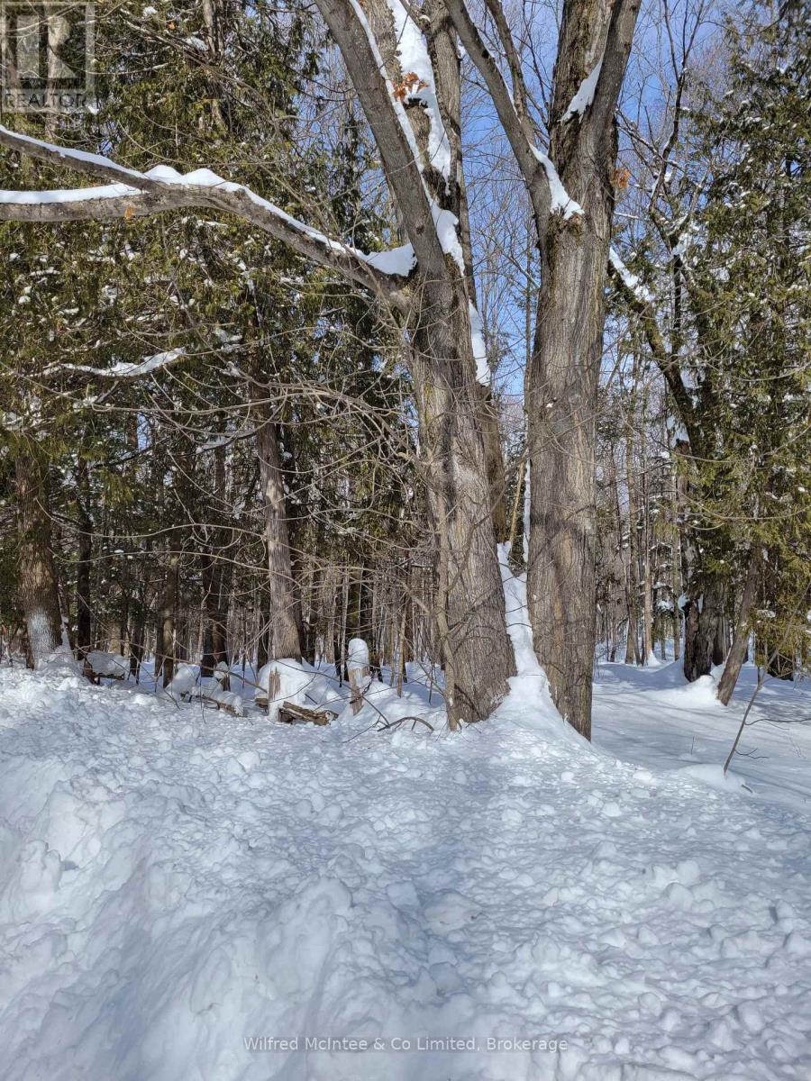 Ptlt 26 Mulock Road, West Grey, Ontario  N0G 1S0 - Photo 2 - X12638176