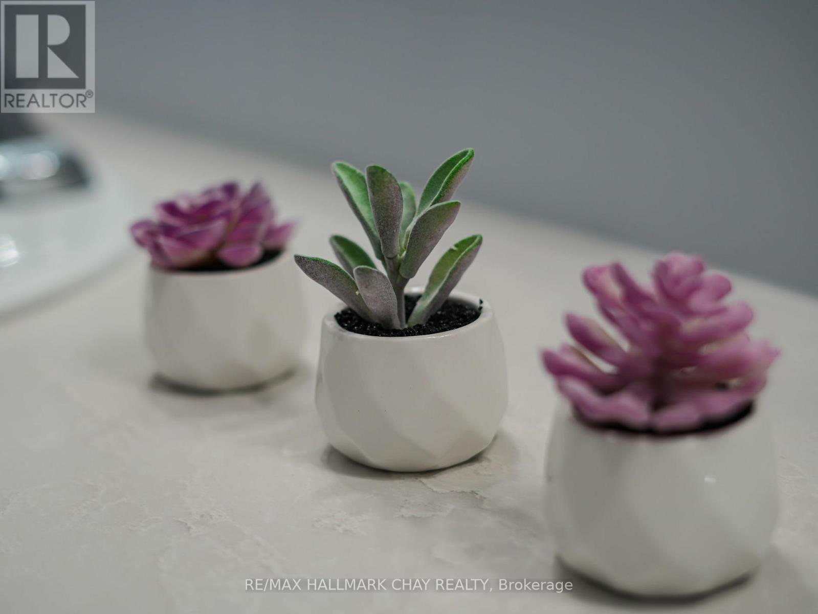 636 Victoria Street E, New Tecumseth, Ontario  L9R 1K1 - Photo 23 - N12443957