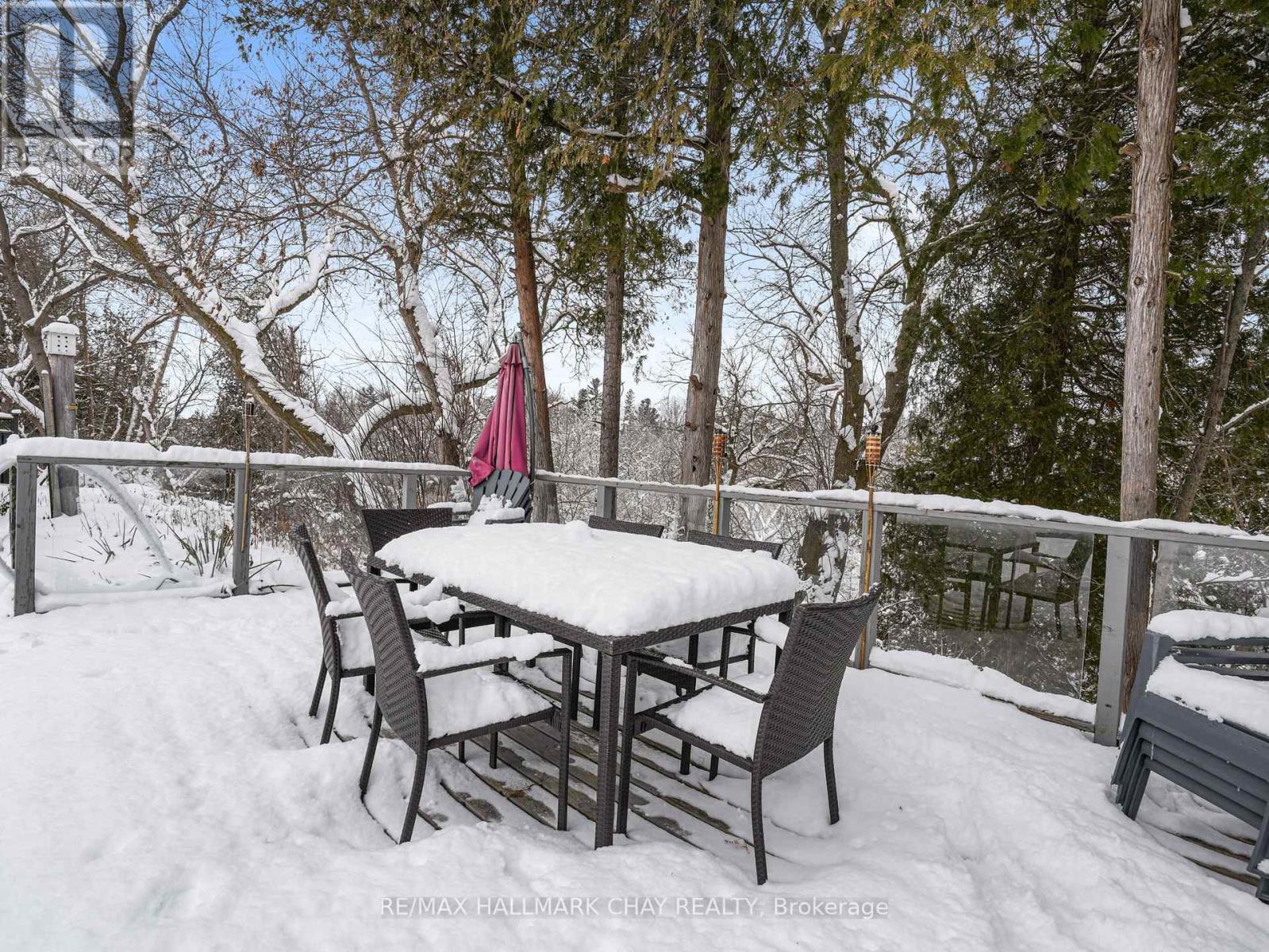 636 Victoria Street E, New Tecumseth, Ontario  L9R 1K1 - Photo 34 - N12443957