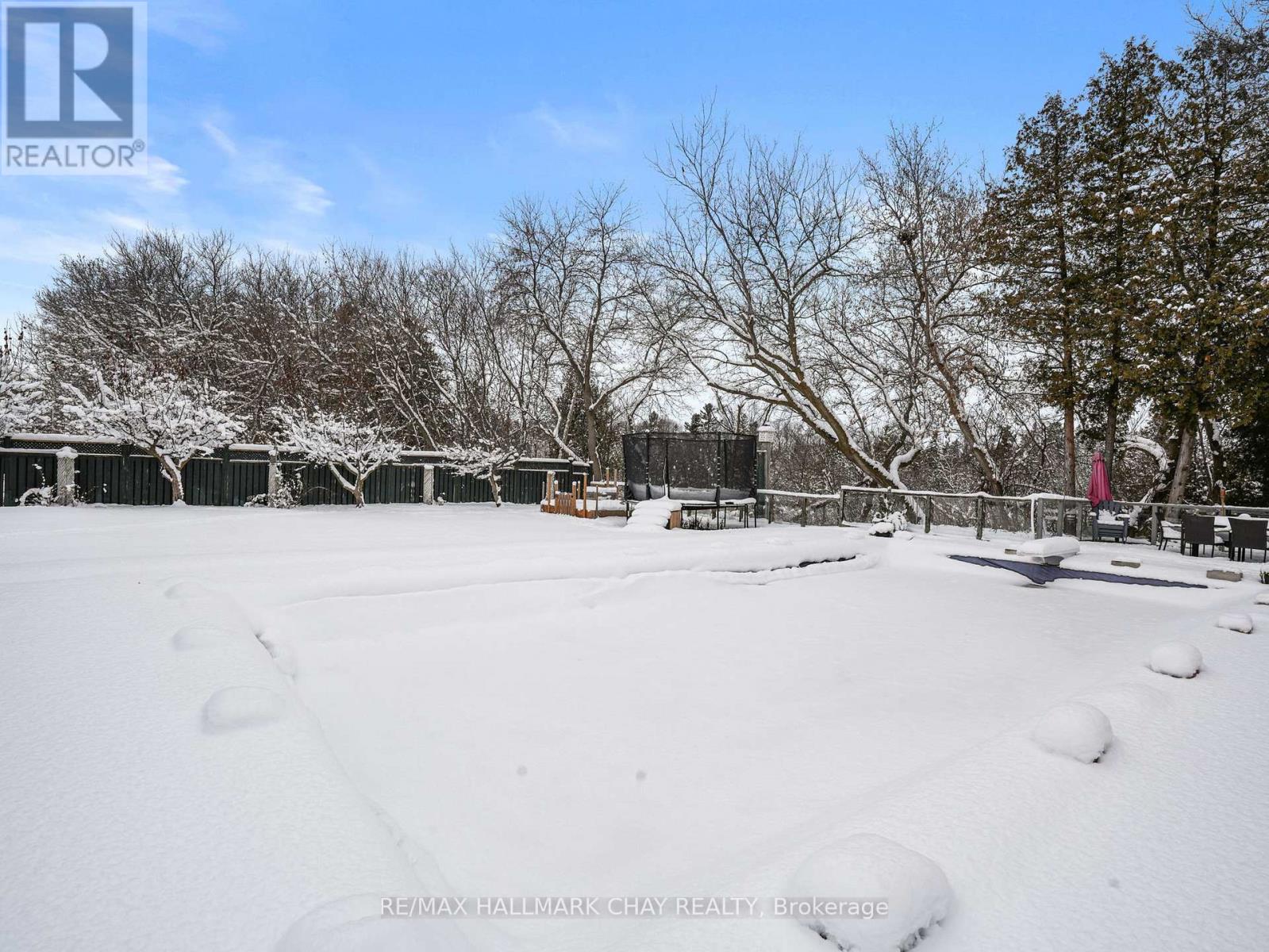 636 Victoria Street E, New Tecumseth, Ontario  L9R 1K1 - Photo 38 - N12443957