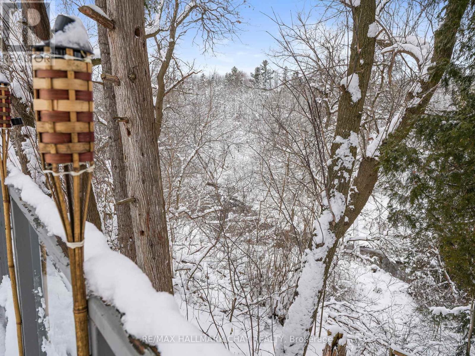 636 Victoria Street E, New Tecumseth, Ontario  L9R 1K1 - Photo 40 - N12443957