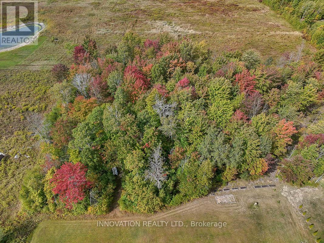 1522 Pittston Road, Edwardsburgh/cardinal, Ontario  K0E 1X0 - Photo 48 - X12416458