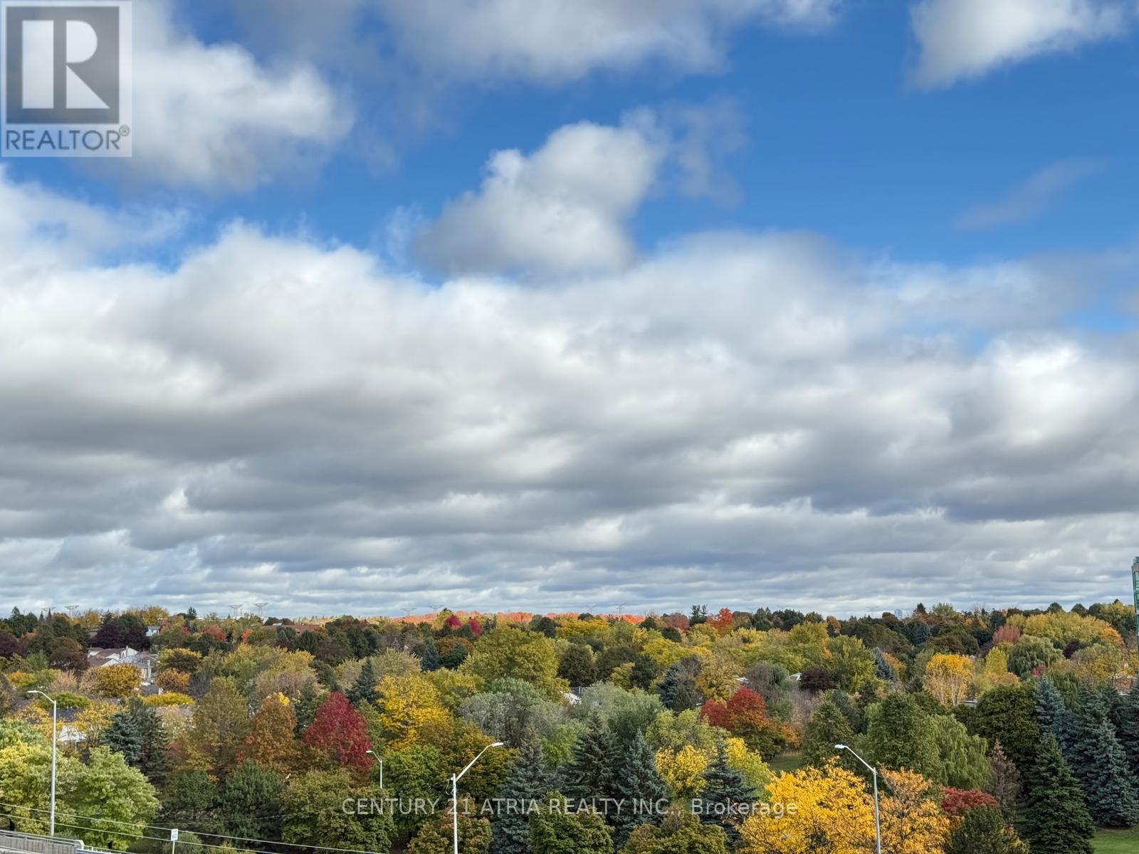 715 - 399 Royal Orchard Boulevard, Markham, Ontario  L3T 0H4 - Photo 28 - N12483781
