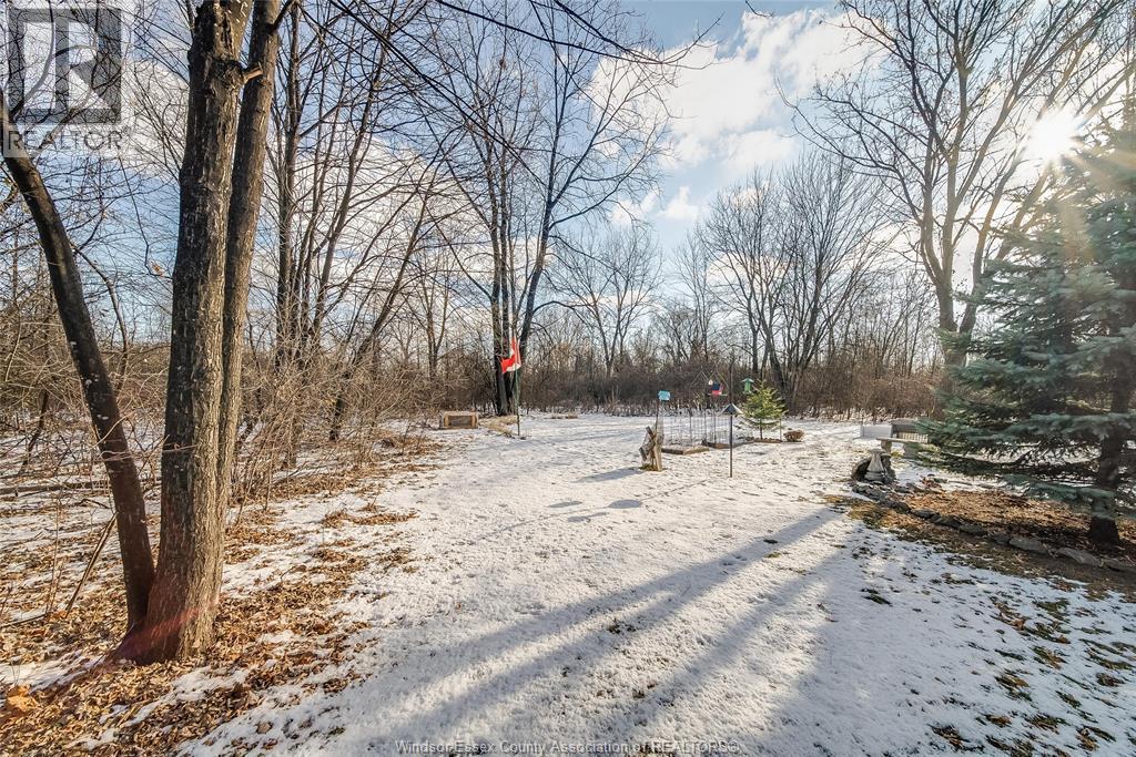 150 Michael, Lakeshore, Ontario N8N 2V7 - Photo 48 - 25031622