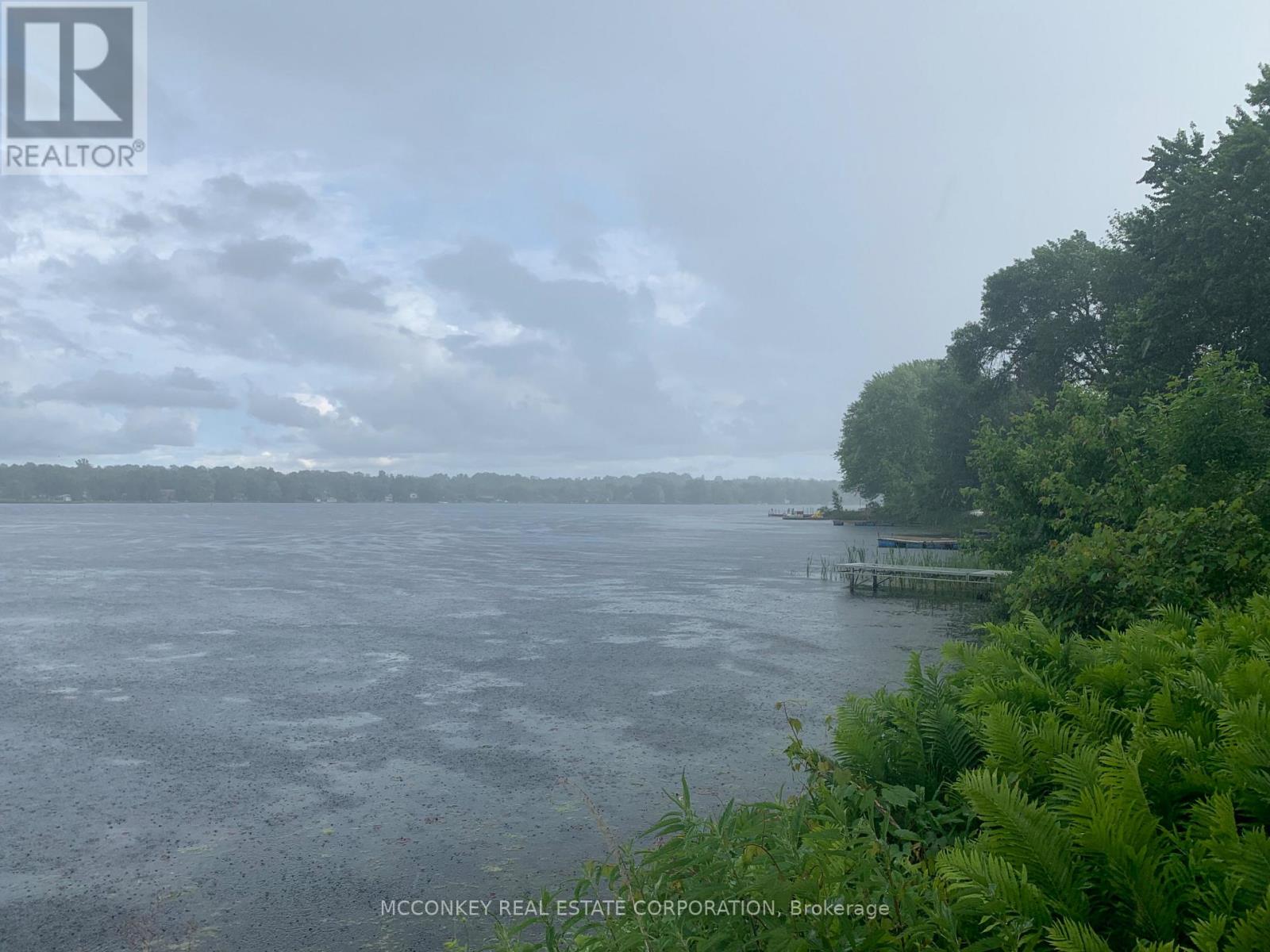 1767 Young's Point Road, Selwyn, Ontario  K0L 2H0 - Photo 36 - X12638280