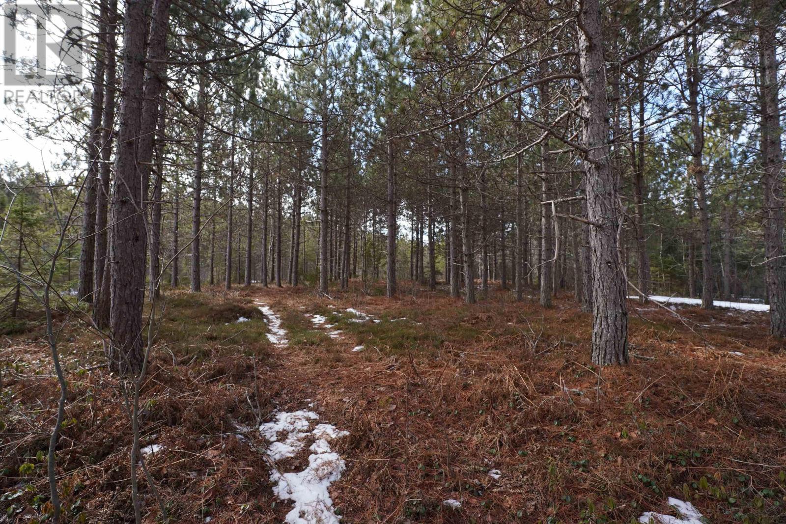 Highway 201, South Farmington, Nova Scotia