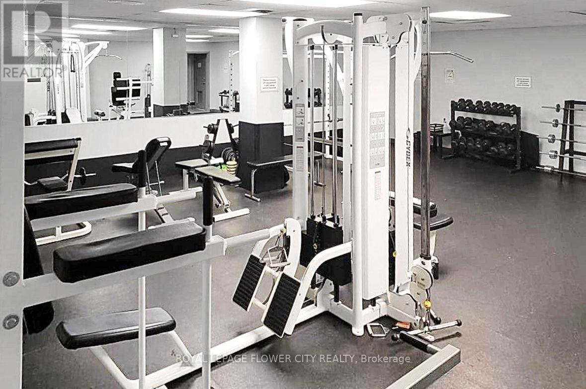 602 - 1515 Lakeshore Road S, Mississauga, Ontario  L5E 3E3 - Photo 33 - W12638228