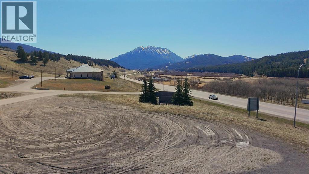 2010 89th Street, Coleman, Alberta  T0K 0M0 - Photo 2 - A2208727