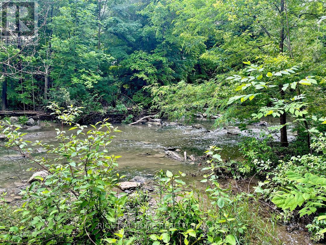 3668 Belvedere Crescent, Mississauga, Ontario  L5L 3B4 - Photo 45 - W12236805