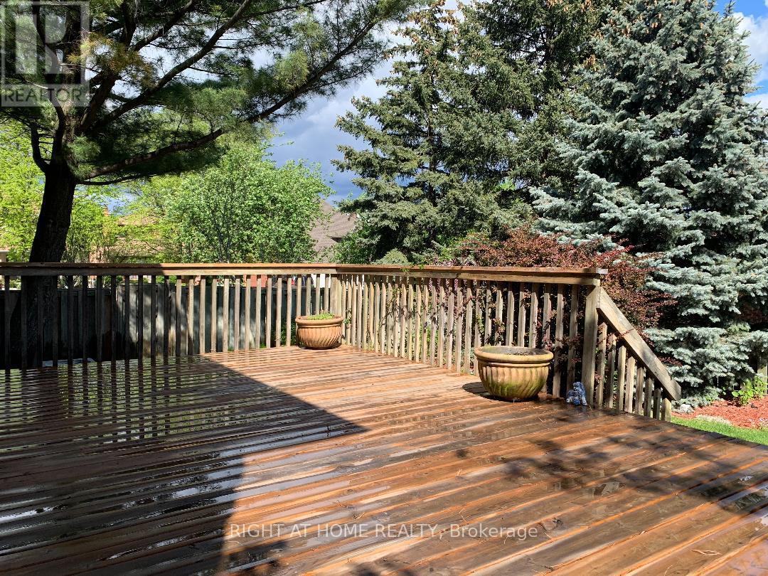 3668 Belvedere Crescent, Mississauga, Ontario  L5L 3B4 - Photo 35 - W12236805